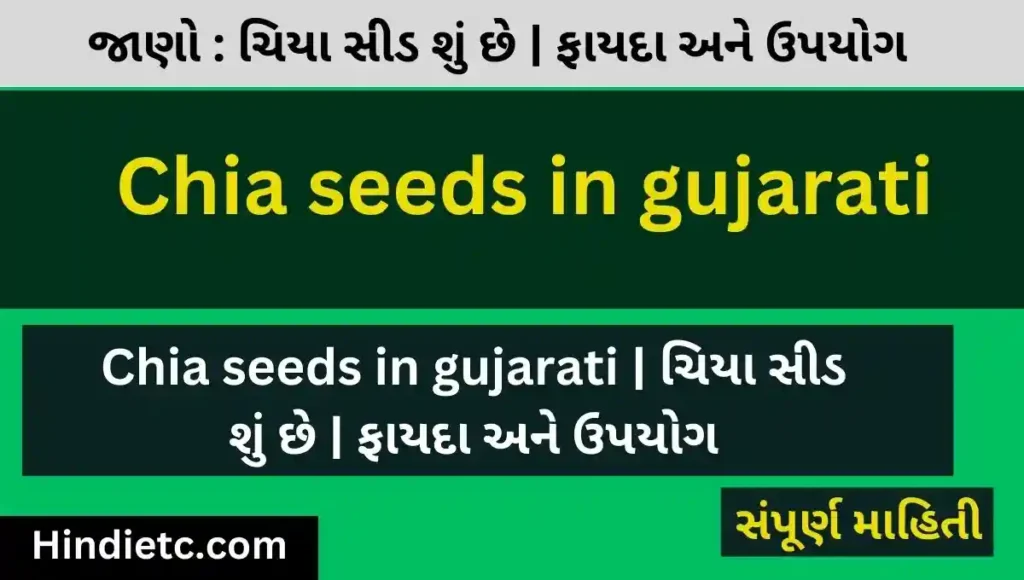Chia seeds in gujarati | ચિયા સીડ શું છે | ફાયદા અને ઉપયોગ