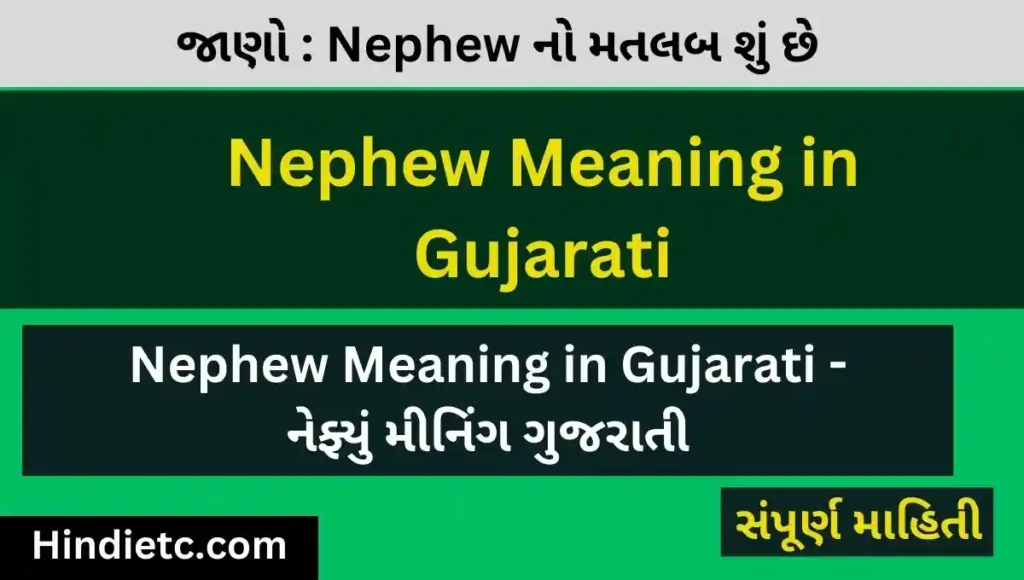 Nephew Meaning in Gujarati - નેફ્યું મીનિંગ ગુજરાતી