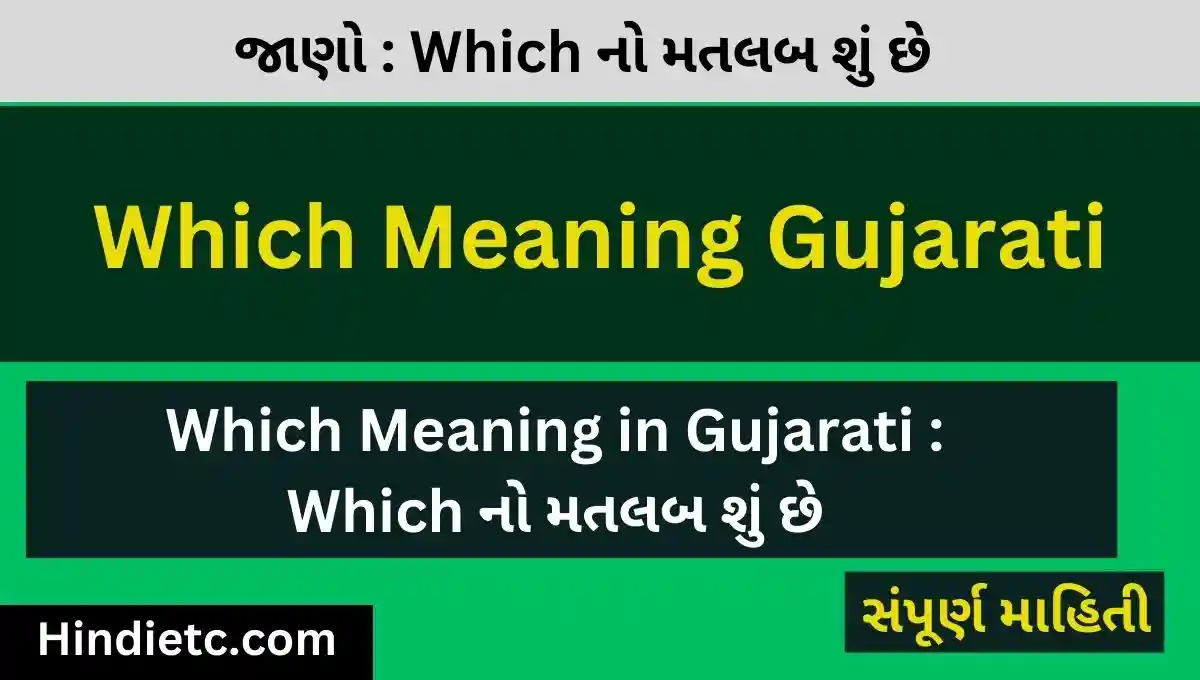 Which Meaning in Gujarati : Which નો મતલબ શું છે