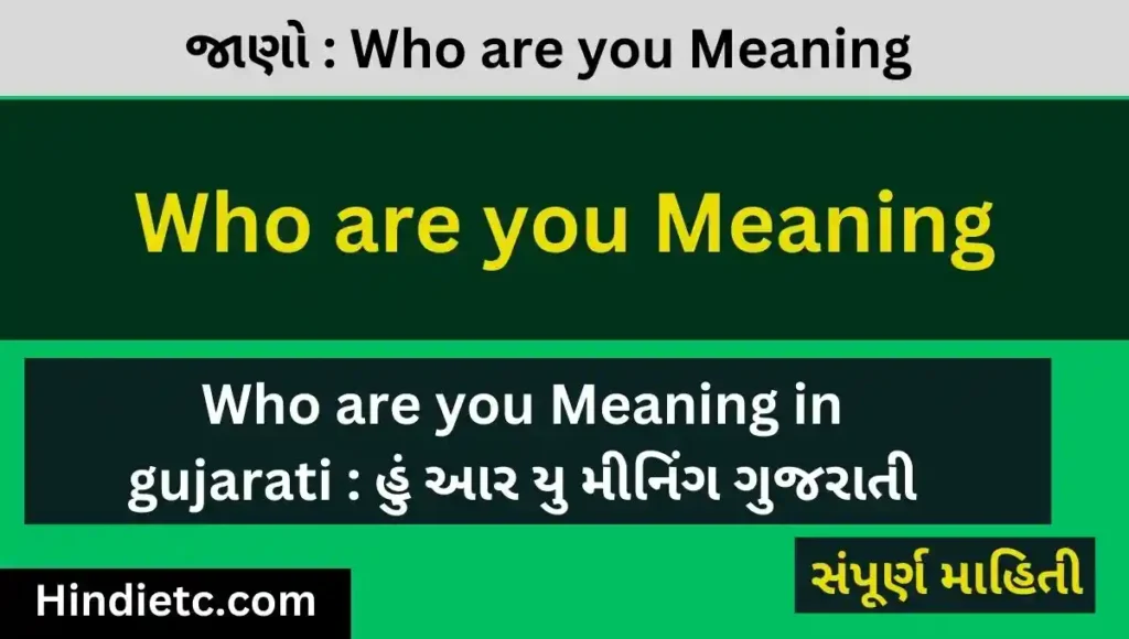 Who are you Meaning in gujarati : હું આર યુ મીનિંગ ગુજરાતી